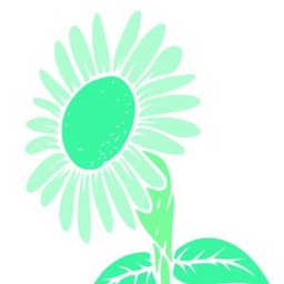 SpringView Manor Healthcare & Rehab Center