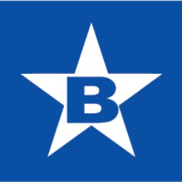 BlueStar US logo