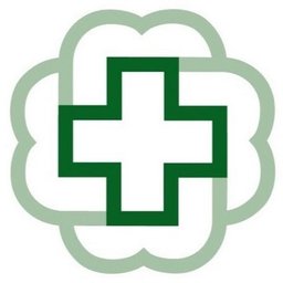 Bronson Healthcare logo