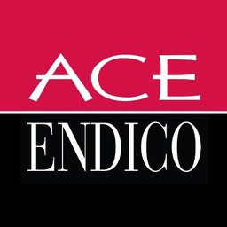 Ace Endico