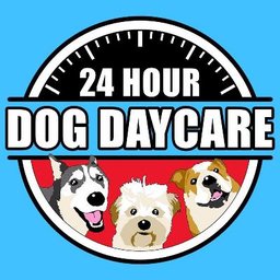 24 hot sale dog daycare