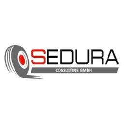 SEDURA Consulting logo