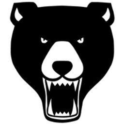 companyLogo