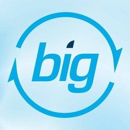 Business Information Group, Inc.