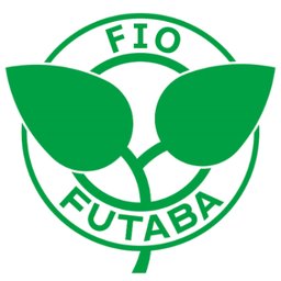 FIO Automotive
