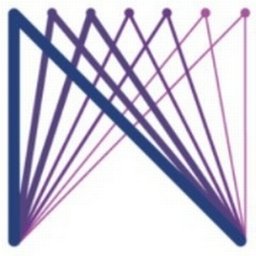 NetraDyne logo