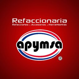 Auto Partes y Mas S.A. de C.V.