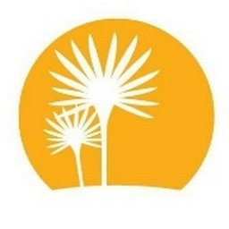 Palmetto Dunes Oceanfront Resort