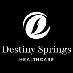 Destiny Springs Healthcare LLC