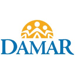 Damar Services, Inc. logo
