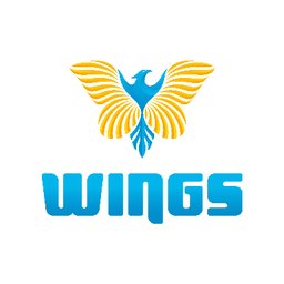 WINGS THERAPY CENTER PTE. LTD.