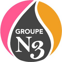 GROUPE N3 Logo