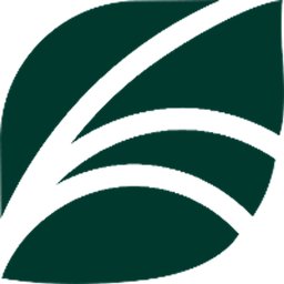 Spring Health logo