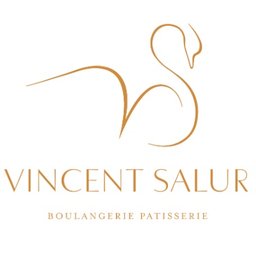 VINCENT SALUR