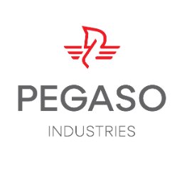 Pegaso Industries Spa logo