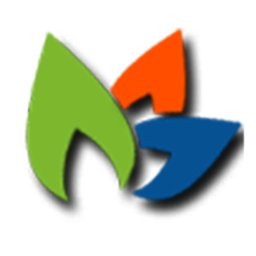 Bridgelogic Software Pvt Ltd logo