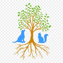 Beaver Brook Animal Hospital