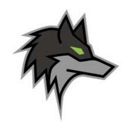 Dark Wolf Solutions logo