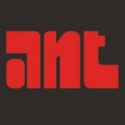 ANT INDUSTRIAL WORKS, INC.