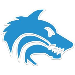 companyLogo