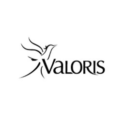 Valoris Logo