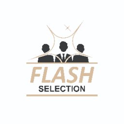 Flash selection inc Logo