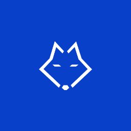 Wolfiz Solutions Pvt. Ltd logo