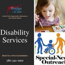 Bridge to Care Inc