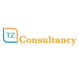 Tech zone consultancy logo