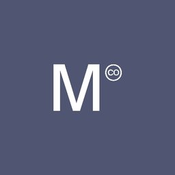 Match Consulting