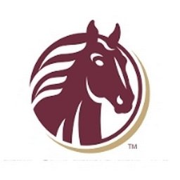 First Federal Savings Bank logo