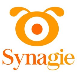 Synagie Inc