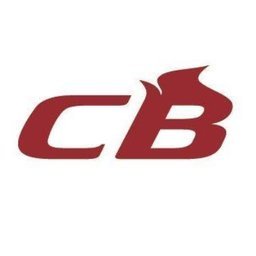companyLogo