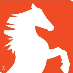 Stallion Infrastructure Services logo