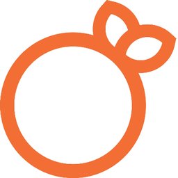 Orange Auto Tag Agency