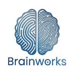 Brainworks Team LLC logo