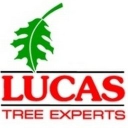 companyLogo