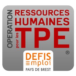 DEFIS Emploi Pays de Brest Logo