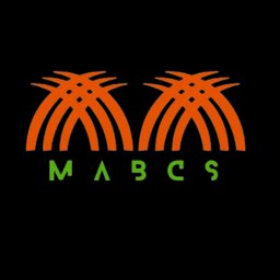 Mabcsllc logo