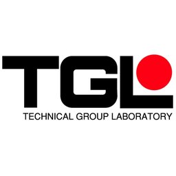 株式会社テイジイエル