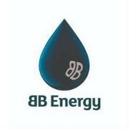 companyLogo