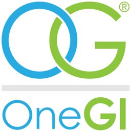 OneGI logo