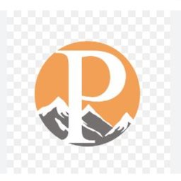 Paragon Energy Solutions logo