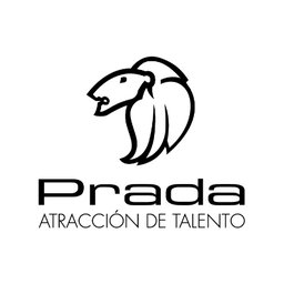 Prada Mx