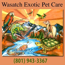 Wasatch Exotic Pet Care