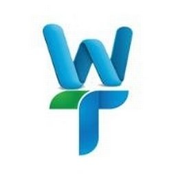 WiseWebTek logo