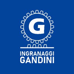 INGRANAGGI GANDINI