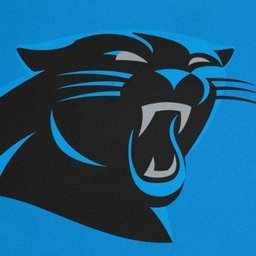 Panthers Community Outreach  Carolina Panthers 