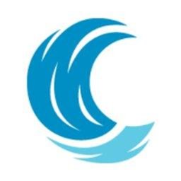 BlueWater Federal Solutions logo