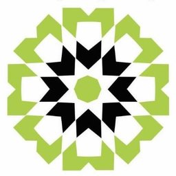 Tampa Connect Group logo